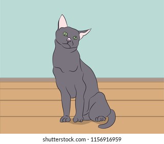 gray cat with green eyes sitting in the room, vector.