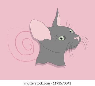 gray cat with green eyes sitting in the room, vector.