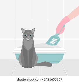 A gray cat and a hand in a rubber glove with a spatula cleaning the cat litter box in the bathroom. Flat vector illustration