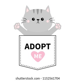 Gray cat hug in the pocket. Adopt me. Pink heart. Cute cartoon animals. Kitten kitty character. Dash line. Pet animal collection. T-shirt design. Baby background. Isolated. Flat design Vector