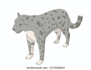 Gray Cat isometric. 3d kitty icon . Vector wild cat illustration.