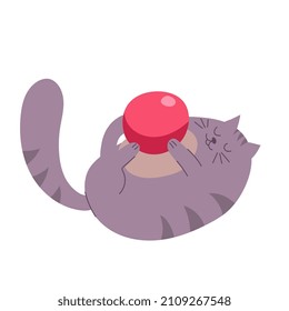 Gray cat lies on back and plays with a pink ball. Vector flat illustration