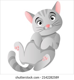 The gray cat lies on its back with its paws clenched
