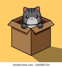 The gray cat looks out of the box. Cartoon cute cat sits in a box. Vector illustration.