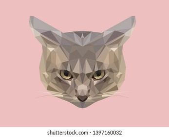 Gray cat low polygonal design