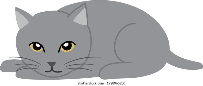 Gray cat lying face down. Vector illustration isolated on white background.
