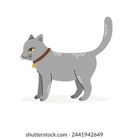 A gray cat with a pendant and a collar on his neck stands sideways.Pets.Flat cartoon vector illustration isolated on a white background