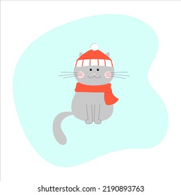 gray cat in a red scarf and hat in winter
