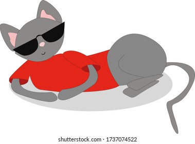 Gray cat in a red sweater and dark glasses