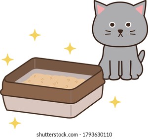 El gato gris está tan aliviado de ver una caja de basura sanitaria. Aislado sobre fondo blanco.