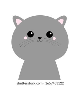 Gray cat round face head. Sad kitty kitten. Cute cartoon kawaii character. Pet adoption. Adopt me. Flat design style. White background. Isolated. Vector illustration
