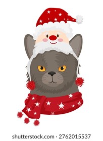 Gray Cat with Santa on Head