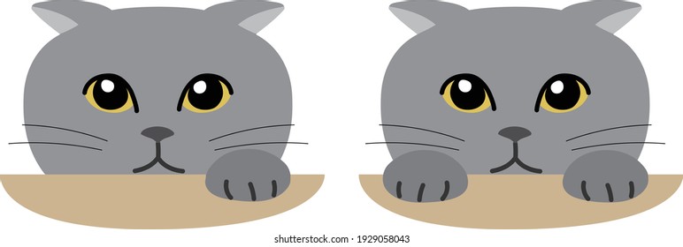 Gray cat secretly watching over from afar. Vector illustration isolated on white background.