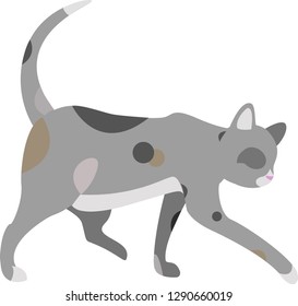 Gray  cat silhouette
