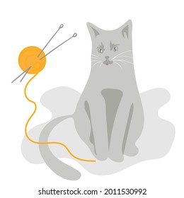 gray cat sits next to an orange ball of thread and knitting needles. Vector illustration