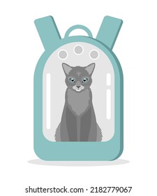A gray cat sitting in a blue carrier backpack with a transparent window on a white background. Flat vector illustration