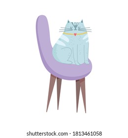 gray cat sitting on purple chair furniture isolated design white background vector illustration