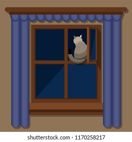 Gray cat sitting on window leaf at night