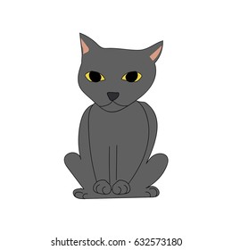 Gray cat sitting and staring straight
