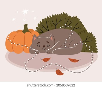 The gray cat sleeps near the pumpkin. The cat is entangled in a New Year's garland. Autumn mood.