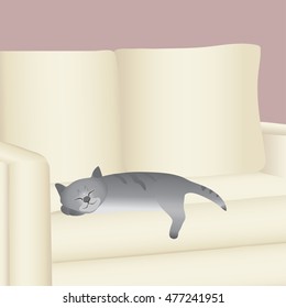 The gray cat sleeps on the white sofa. Vector illustration