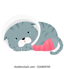 gray cat splinting leg with elizabeth collar vector