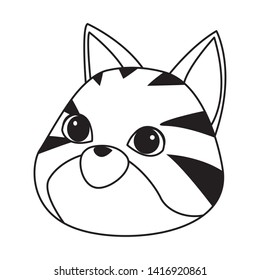 gray cat tabby icon cartoon isolated in black and white vector illustration graphic design