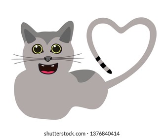 gray cat with tail in heart shape - isolated on white