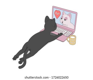 The gray cat uses a laptop for communication. Cartoon cat is talking with his girlfriend on the Internet.