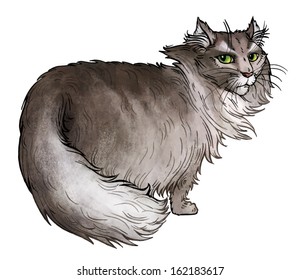 gray cat vector