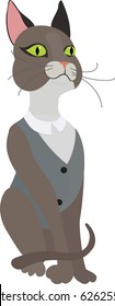 Gray cat in vest on a white background
