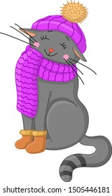 gray cat in warm clothes. vector and illustration