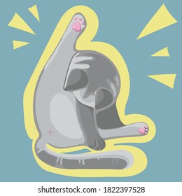 A gray cat is washing with a raised paw. Vector illustration in cartoon style of pets. Isolated object on blue background