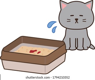 El gato gris se preocupa de mear sangre en una caja de basura. Aislado sobre fondo blanco.