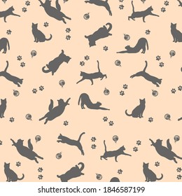 gray cats in different poses on a light background with a tangle