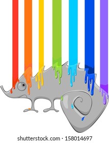 Gray Chameleon and rainbow