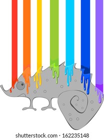 Gray Chameleon and rainbow