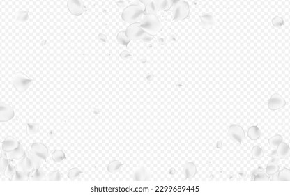 grauer Kirschvektor, transparenter Hintergrund. Schnee Japan Sakura Textur. Japanisches Blumenhintergrund. Pastel Blossom Fallende Illustration.