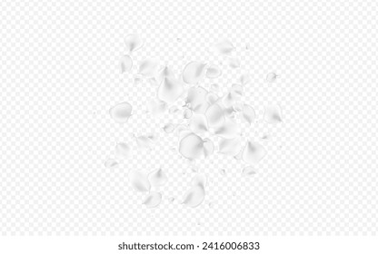 Gray Cherry Vector Transparent Background. Pastel Flying Rose Design. Japan Petal Wallpaper. White Peach Falling Texture.