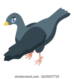 Gray city pigeon walking, isometric view of wild bird