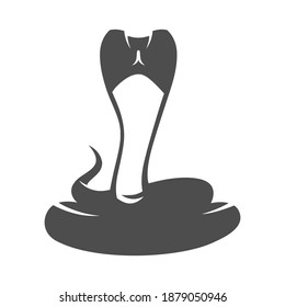 Gray cobra snake flat portrait symbol on white backdrop. Design element