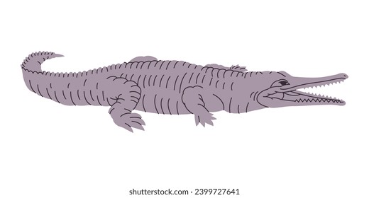 gray color crocodile or alligator wild nature animal big predator dangerous carnivore reptile