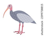 gray color giant ibis waterbird wild nature animal predator creature have long feet and curve beak
