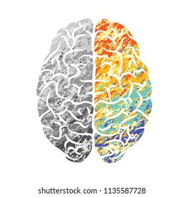 Gray and color human brain silhouette isolated on white background