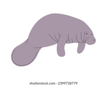 gray color manatee or dugong wild nature sea animal herbivorous mammal ocean creature