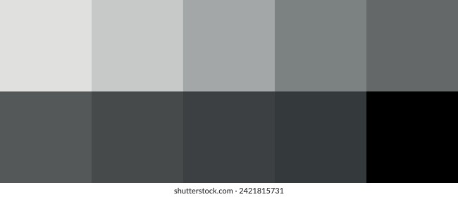 Gray color palette vector illustration