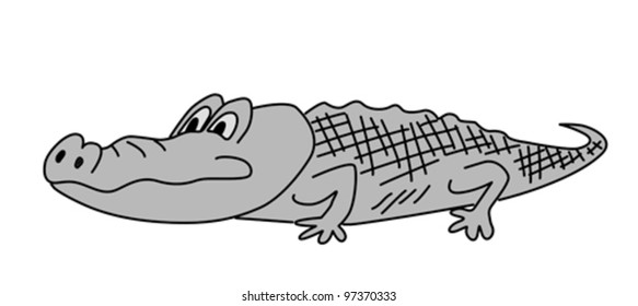 gray crocodile on white background, vector illustration