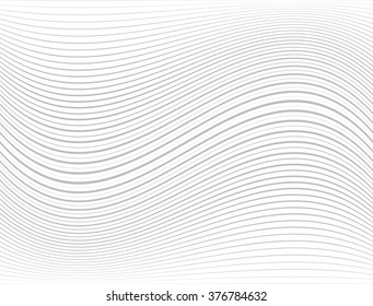 Gray Curved Vector Lines Background .