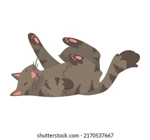 personaje de mascota gris de gato lindo
