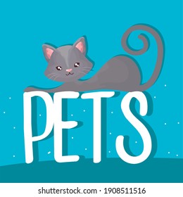 gray cute cat resting on pets lettering cartoon vector illustration
